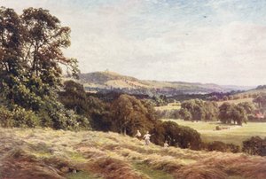 Un Campo di Fieno, Wonersh da Harold Sutton Palmer