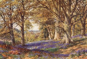 Un pendio di campanule, Hascombe