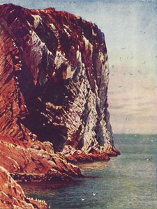 Bass Rock, 1910 da Harold Sutton Palmer