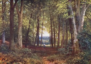 Bosco di Deer-Leap, Wotton da Harold Sutton Palmer