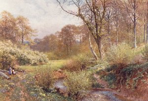 Nei boschi di primavera, Ockley (litografia a colori) da Harold Sutton Palmer