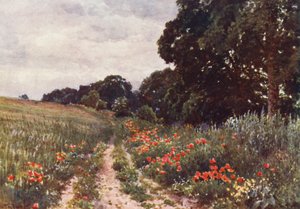 Papaveri da Harold Sutton Palmer