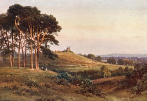 Reigate Heath, sera (litografia a colori) da Harold Sutton Palmer