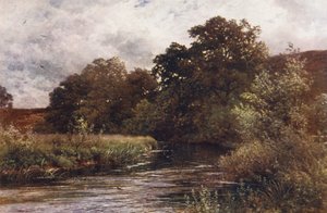 Il Wey a Hankley Common, vicino a Tilford
