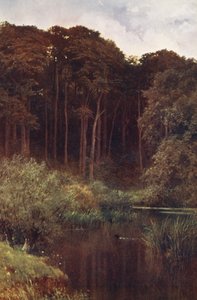 Profondità del bosco, Wotton da Harold Sutton Palmer