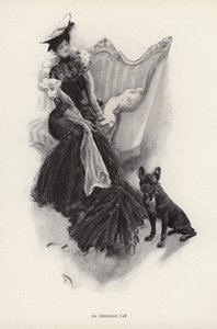 Donna che fa una visita sociale pomeridiana (litografia) da Harrison Fisher