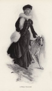 Donna che passeggia con il suo cane collie in inverno da Harrison Fisher