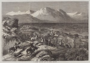 Una recente caccia al cinghiale in Algeria