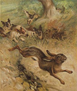 Una corsa per la vita da Harrison William Weir