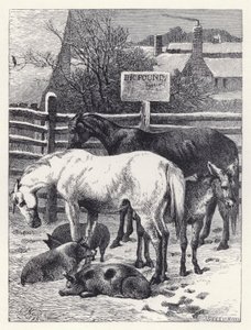 Animali nel recinto da Harrison William Weir