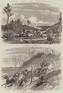 Vita nel bush nel Queensland