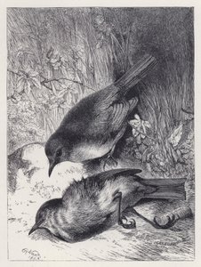 Morte del compagno di Robin da Harrison William Weir