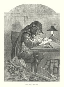 Cani divertenti: il cane letterario (incisione) da Harrison William Weir