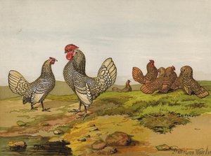 Bantam dorati e argentati da Harrison William Weir