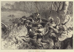 Colpendo nel segno, i Mid-Kent Staghounds da Harrison William Weir