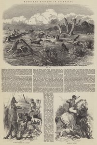 Caccia al canguro in Australia da Harrison William Weir