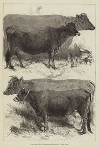 La mostra lattiero-casearia all