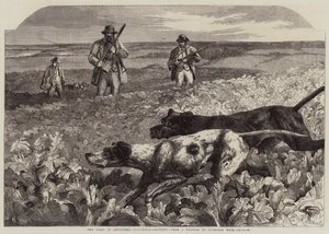 Il primo di settembre, caccia alla pernice