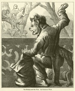 La Scimmia e le Noci