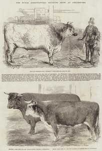 Mostra della Royal Agricultural Society, a Chelmsford da Harrison William Weir