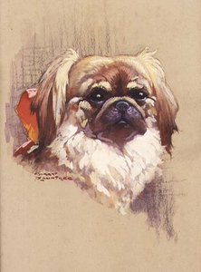 Nastro rosso da Harry Rountree