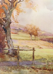 Campi da golf: Broadstone, la quarta buca da Harry (1878 1950) Rountree