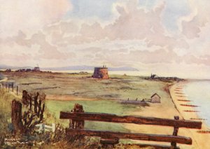 Campi da Golf: Felixtowe, vista generale del campo (litografia a colori) da Harry (1878 1950) Rountree