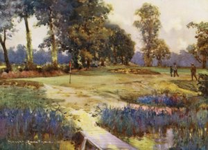 Campi da golf: Romford, il sesto green