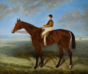 Salpinctes, un cavallo da corsa (c.1814-82) da Harry (after) Hall