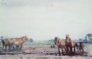 Cavalli da aratro