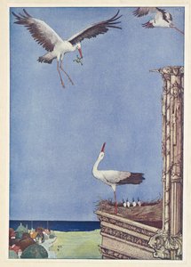 Le cicogne.