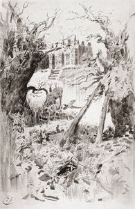 Casa desolata. Illustrazione di Harry Furniss per il romanzo di Charles Dickens Casa desolata, dall