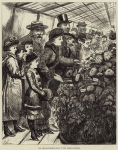 La mostra dei crisantemi nei Giardini del Tempio da Harry Furniss