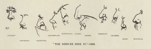I Noes-es (cioè i nasi dei politici) hanno vinto - 1883