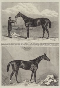 Cavallo da corsa