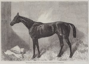 Il Marchese, vincitore delle Due Mille Ghinee a Newmarket