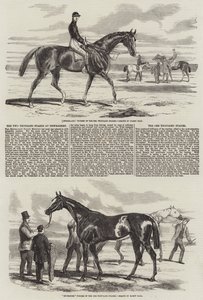 Le Due Mila Poste a Newmarket da Harry Hall