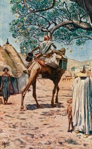 A Bornu