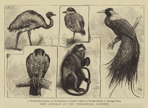 Nuovi animali ai Giardini Zoologici