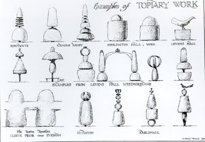 Esempi di lavori di topiaria, 1902