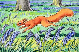 Piccolo Scoiattolo Rosso da Harry M. Pettit