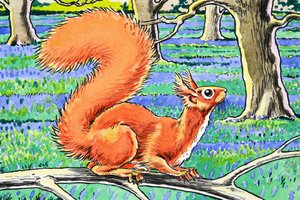 Piccolo scoiattolo rosso da Harry M. Pettit