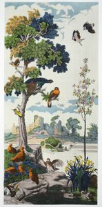 Magnum Opus: Gallo cedrone, pub. 1933 da Harry Wearne