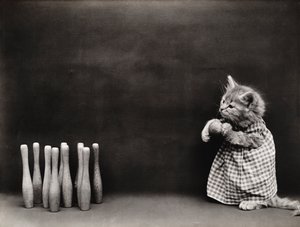 Serie dei gattini: Bowling, 1914 circa (stampa all