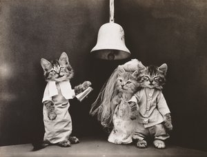 Serie dei gattini: Matrimonio, 1914 circa (stampa all