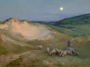 Sera sulle dune (olio su tela)