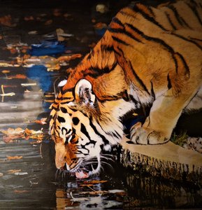 Tigre da HaskellArt