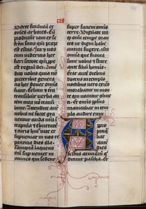 Libro dei Vangeli con Ritratti degli Evangelisti: Iniziale Decorata da Hausbuch Master