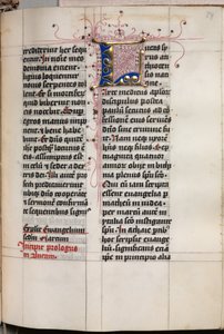 Libro dei Vangeli con Ritratti degli Evangelisti: Iniziale Decorata da Hausbuch Master