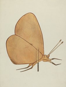 Segnavento a forma di farfalla da Hazel Hyde
